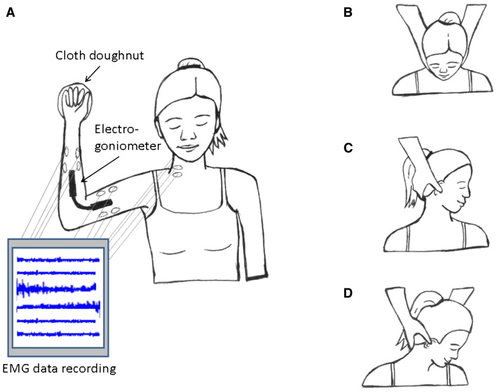 Image of participant position during joint experiment